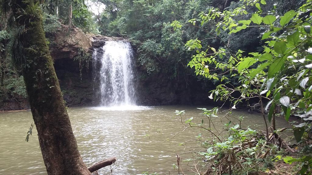 Chacara Famille Brun Lejlighed São João da Boa Vista Eksteriør billede
